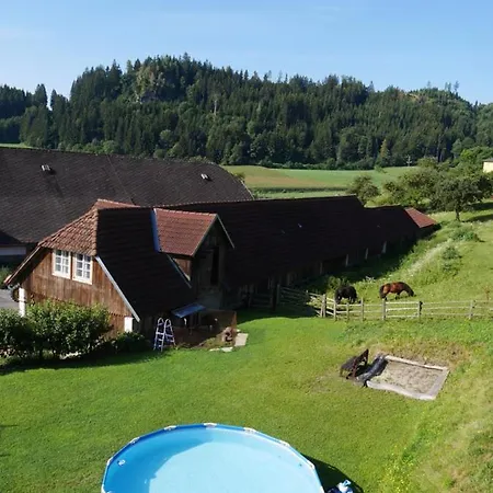 Neubauerhof Apartment Liebenfels