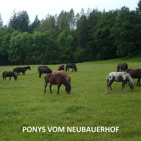Neubauerhof Lejlighed Liebenfels