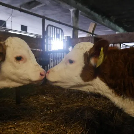 Neubauerhof דירה *