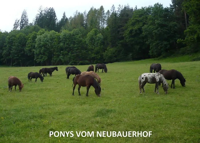 Neubauerhof Apartament Liebenfels