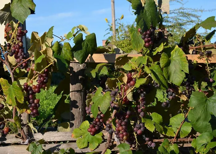 Neubauerhof * Liebenfels