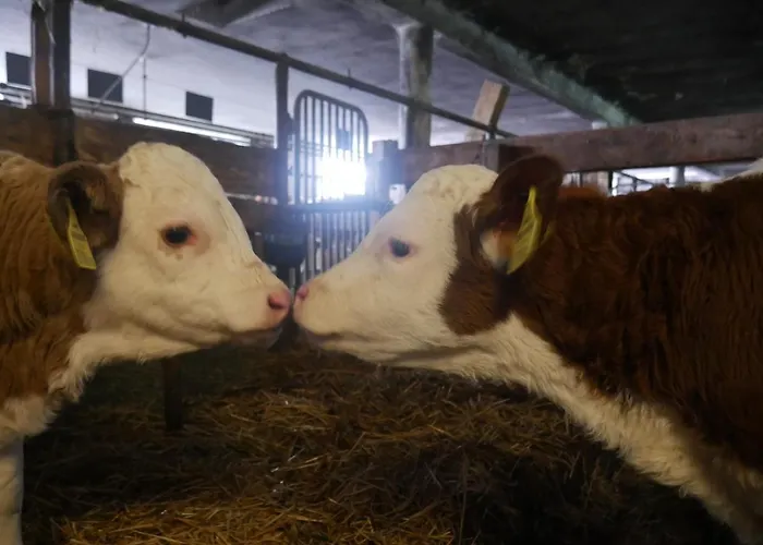 Neubauerhof Apartamento *