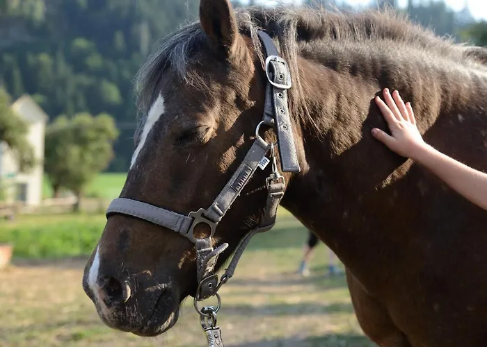 Neubauerhof Apartament