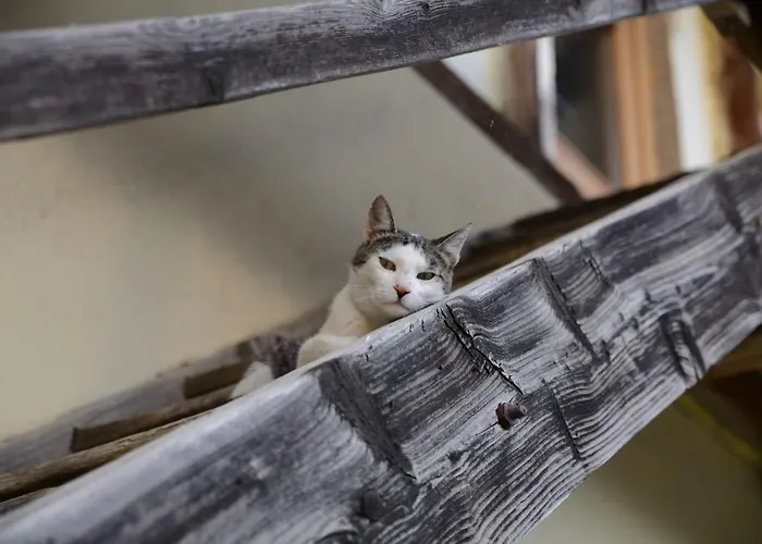 Neubauerhof Apartament *